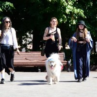 Девочки на прогулке. :: Наталья Вязигина