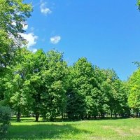 Июнь :: Наталья Герасимова Июнь :: Наталья Герасимова