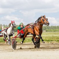 Бега :: SanSan 