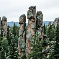 ЗАПОВЕДНИК СТОЛБЫ :: Сергей Янович Микк