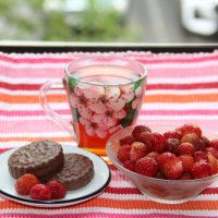 июнь :: Венера Чуйкова