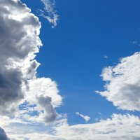 осмотр статуи :: Владимир 