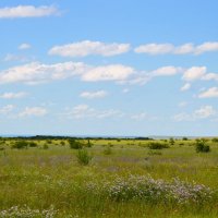 Степные просторы Ставрополья :: Надежда Куркина 