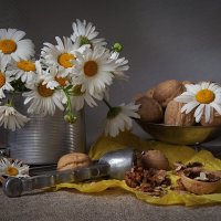 Натюрморт с ромашками и грецкими орехами. :: Лилия *