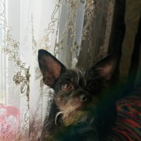 Чаки. :: Анатолий Пашковский