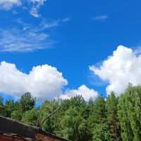 провожатый :: Владимир 