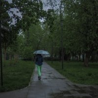 Непогода :: юрий поляков