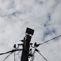 Установил МГ фонарь на столб на даче. :: Михаил Елочкин