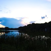 вечерняя краса :: Артём Евтюхов