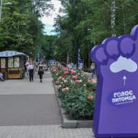 Фестиваль для питомцев :: Татьяна Машошина