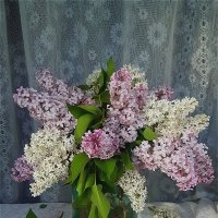 Букет сирени на окне в деревне! :: Нина Андронова