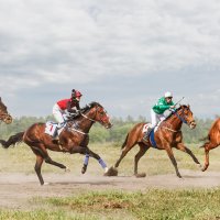 Скачки :: SanSan 