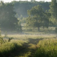 **** :: Владимир Безбородов