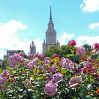 Ботсад МГУ 28 июня :: Михаил Бибичков