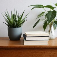 Минимализм.Книги. :: Анатолий Жарский
