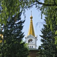 В природной рамке :: Валентина *