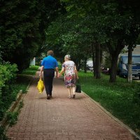 Вместе по жизни... :: Алексей Архипов
