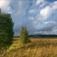 Скоро осень :: **** vedin