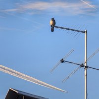 1 июля Рассвет над Питером :: ВЛАДИМИР 