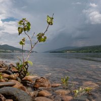 Летний пейзаж перед грозой :: Сергей Герасимов Летний пейзаж перед грозой :: Сергей Герасимов