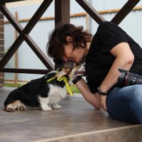 Ласка нужна всему живому. :: Екатерина Леш