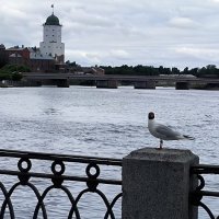 Выборг. На набережной. :: Ольга 