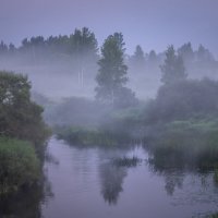 **** :: Елизавета .
