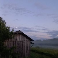 Туман :: Людмила Туман :: Людмила