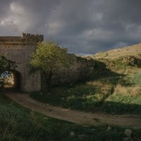 Фотозарисовки из прошлого. :: Анатолий Щербак