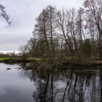 В январском унынии... :: Николай Гирш В январском унынии... :: Николай Гирш