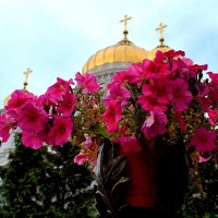 Реставрация куполов Храма Христа Спасителя завершена. :: Татьяна Помогалова