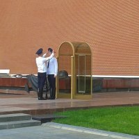 Почетный караул :: Владимир Соколов (svladmir)