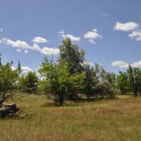 В степи. :: Виктор 