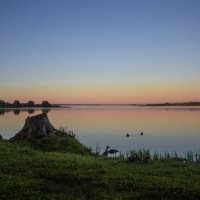 Сиверское озеро. :: Александр. AVG100 ---