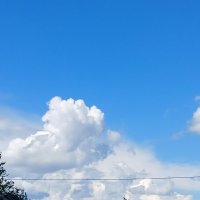 ест на ходу :: Владимир