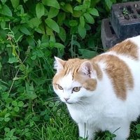 охотник :: nataly-teplyakov 