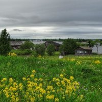 Из прогулки по острову Кижи :: svk *