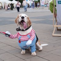 А кто увидит нас, тот сразу ахнет... :: Виктор Фельдшеров