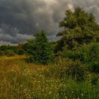 Однажды субботним днем 5 :: Андрей Дворников Однажды субботним днем 5 :: Андрей Дворников