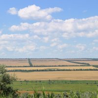 Ставропольские просторы... :: Надежда Куркина 