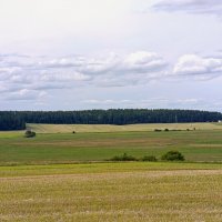 Белорусские поля :: Татьяна Тюменка Белорусские поля :: Татьяна Тюменка
