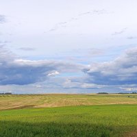 Белорусские поля :: Татьяна Тюменка