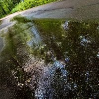 Влажная дорожка. :: Любовь Влажная дорожка. :: Любовь