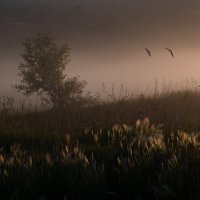 Тихий рассвет :: Иван Тихий рассвет :: Иван