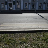 "зебра" на газоне стерлась.... :: Александр "зебра" на газоне стерлась.... :: Александр