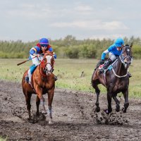 Скачки :: SanSan