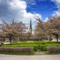Весна в Таллине :: Aare Treiel