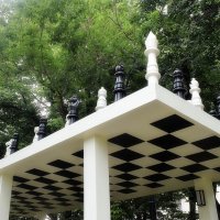 Чёрно-белая игра. :: Татьяна Помогалова Чёрно-белая игра. :: Татьяна Помогалова