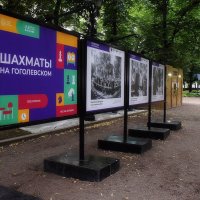 Выставка, посвящённые истории шахмат. :: Татьяна Помогалова Выставка, посвящённые истории шахмат. :: Татьяна Помогалова