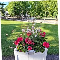 В парке Кадриорг :: Veera V В парке Кадриорг :: Veera V